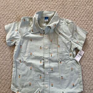 NWT - 4T - Old Navy Mint Short-Sleeve Button-Down Shirt with Carrot Print